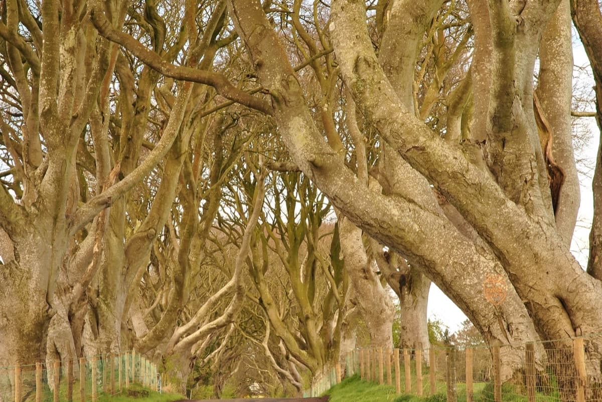 Game of Thrones Tour