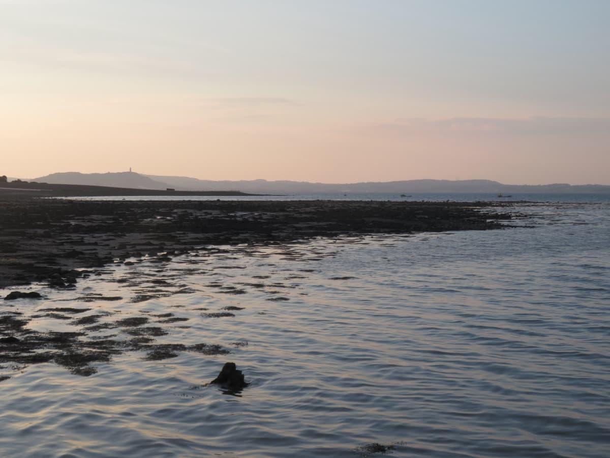Strangford Lough Private Tour